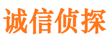 碌曲市私家侦探